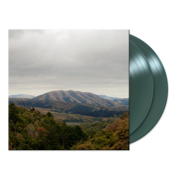 Mount Wittenberg Orca (Green 2LP) by Dirty Projectors, Björk | The