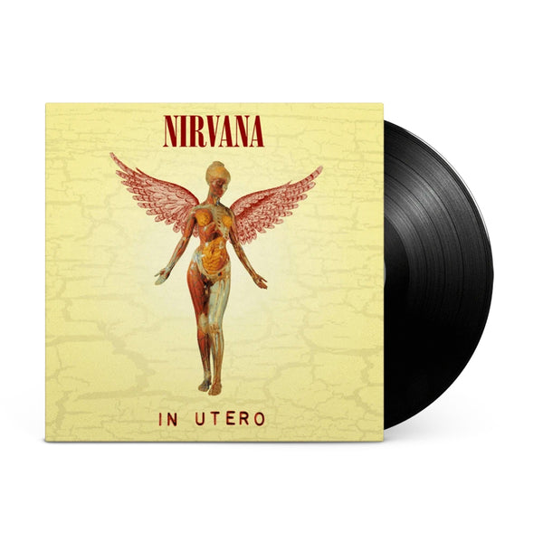 My Nirvana vinyl collection : r/Nirvana