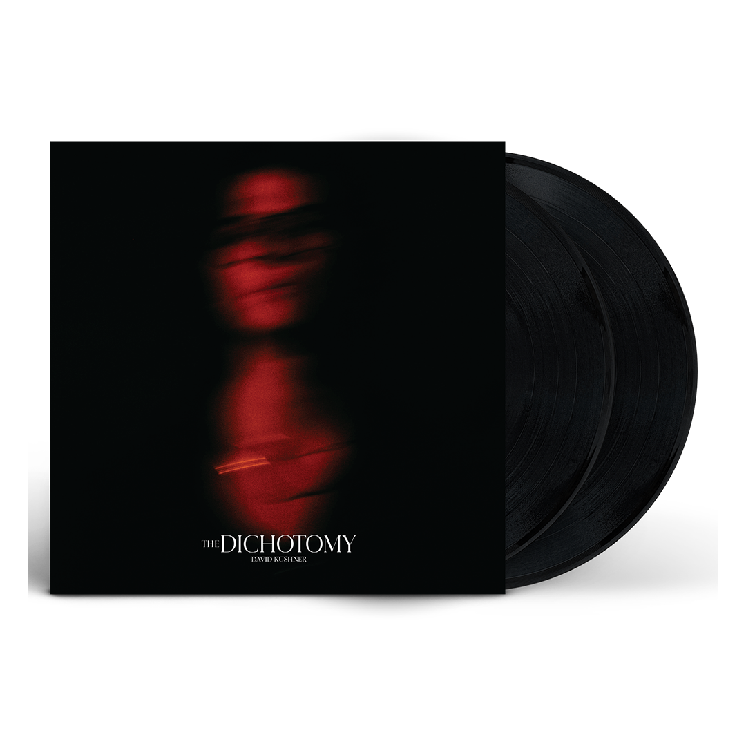 The Dichotomy (2LP)