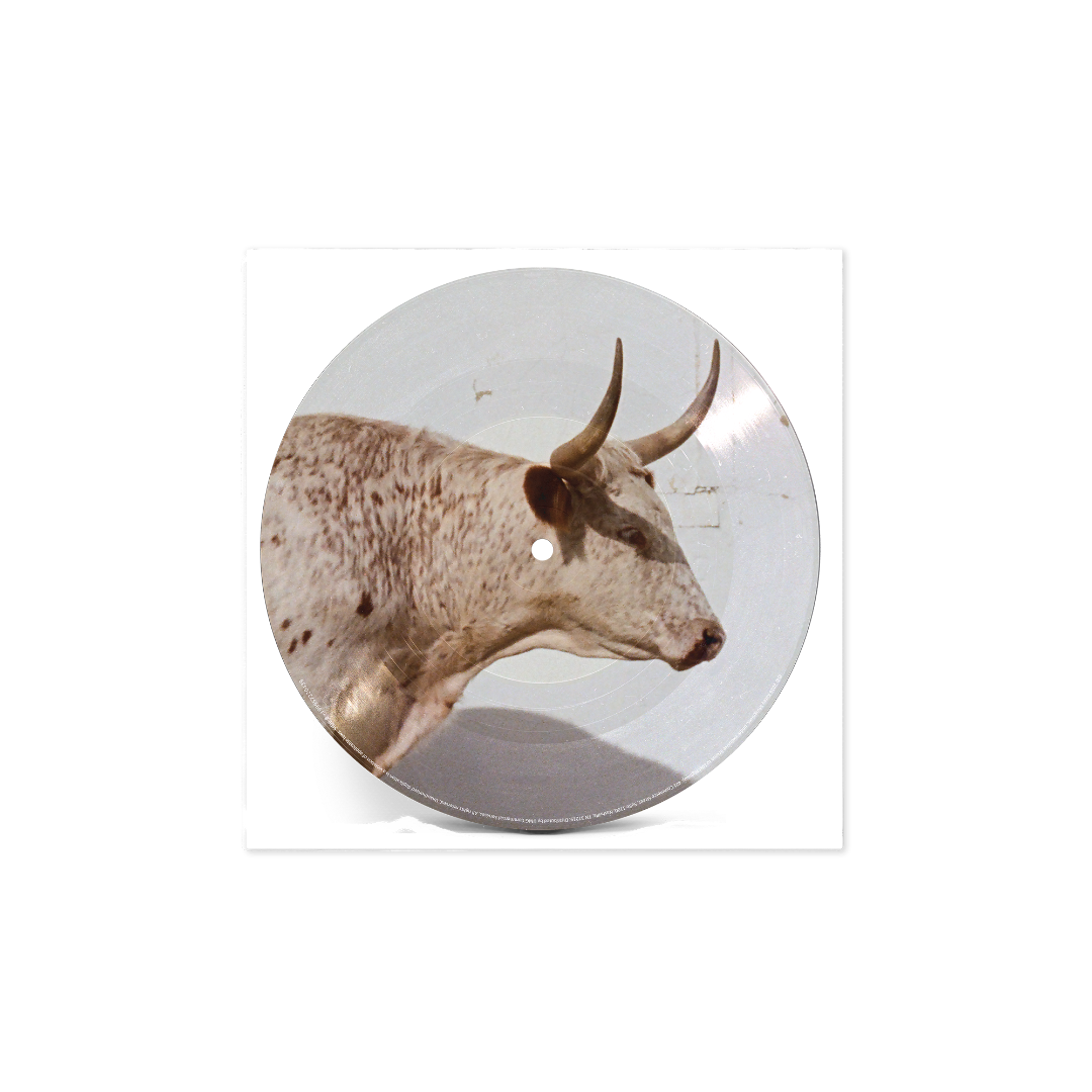 Middle of Nowhere (Exclusive Horny Picture Disc LP) back