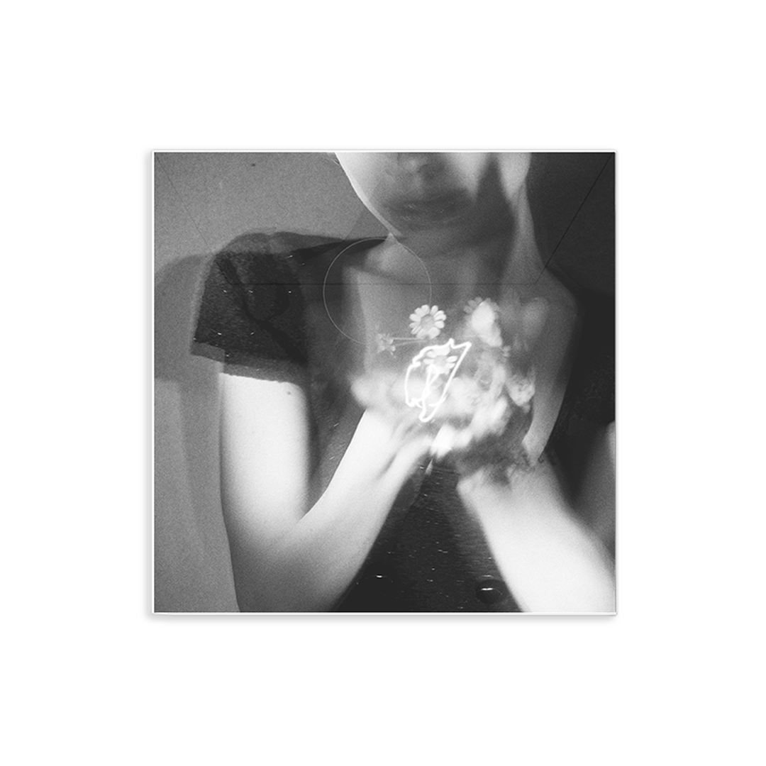 Petal (Exclusive Picture Disc LP)