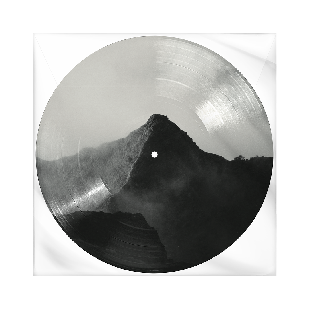 Shawn (Exclusive Picture Disc LP) Back