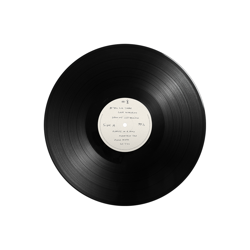 The Boys Of Dungeon Lane (LP) disc