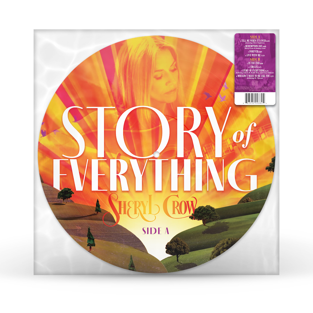 The Story Of Everything (LP)